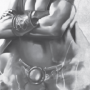 sturmbringer.png