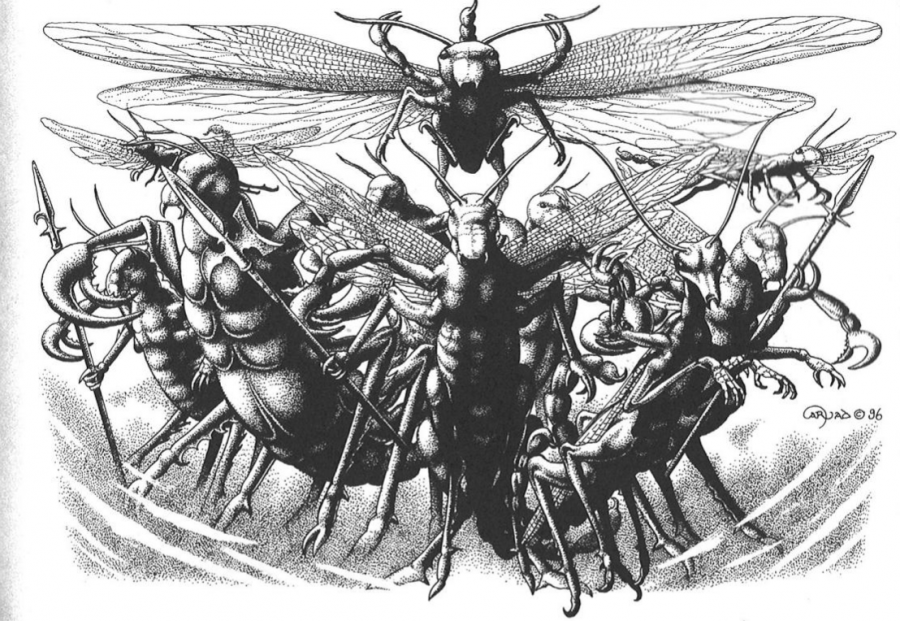 schwarm.png schwarm.png